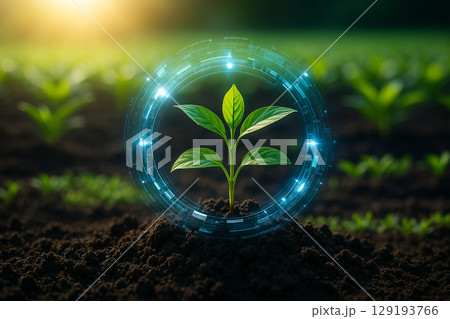 AI generated realistic green sprout growing from fertile soil surrounded by glowing digital interface showing smart farming technology in natural light and futuristic setting AI generated realistic green sprout growing from fertile soil surrounded by glowing digital interface showing smart farming technology in natural light and futuristic setting 129193766