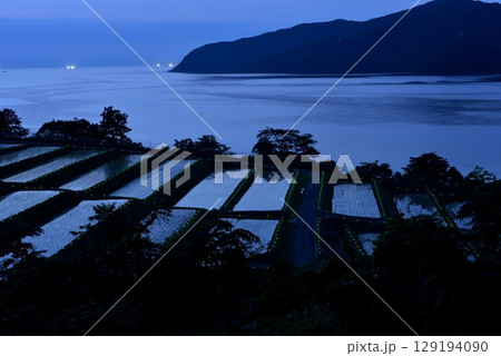 光る棚田 光る棚田 129194090