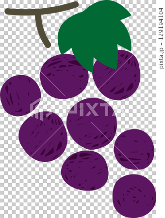 Hand-drawn style cute grape illustration material 129194104