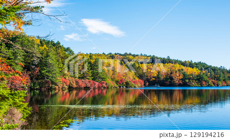 秋の白駒池 129194216