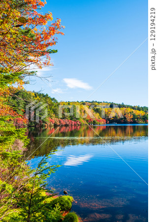 秋の白駒池 秋の白駒池 129194219