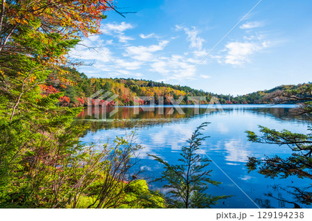 秋の白駒池 129194238