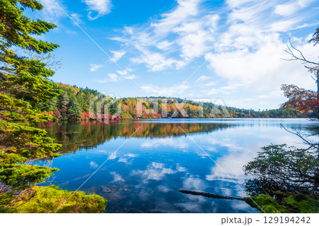 秋の白駒池 129194242