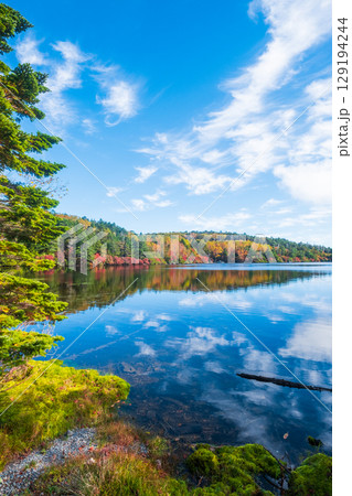 秋の白駒池 秋の白駒池 129194244