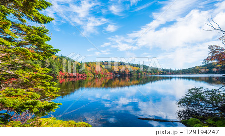 秋の白駒池 129194247