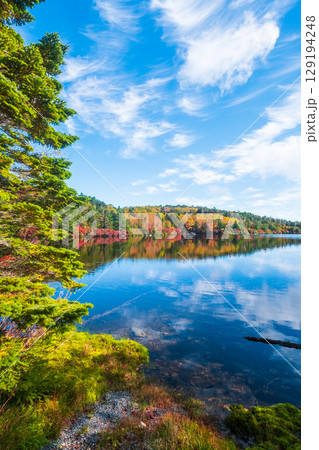 秋の白駒池 129194248