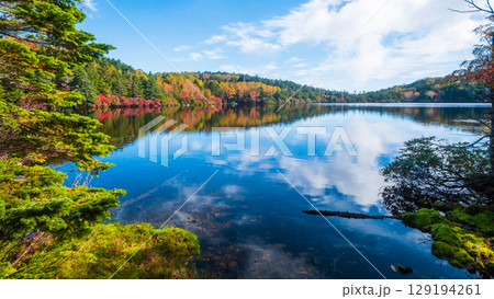 秋の白駒池 129194261