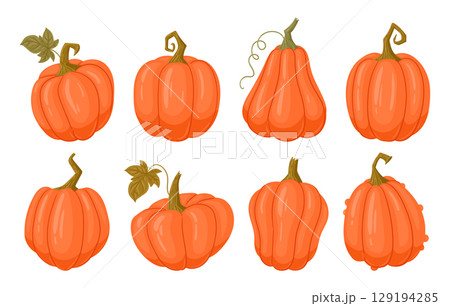 Halloween pumpkins. Cartoon fall harvest gourds, squash with leaves flat vector illustration set. Autumn halloween and thanksgiving pumpkins collection 129194285