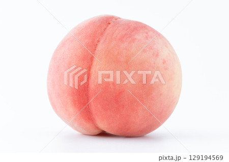 白背景に1個の桃（あかつき） 129194569