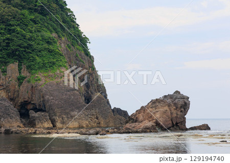 昼間のかえる島 昼間のかえる島 129194740