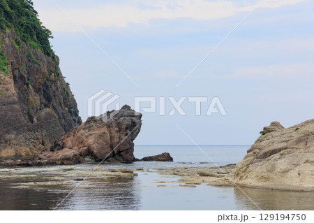 昼間のかえる島 129194750