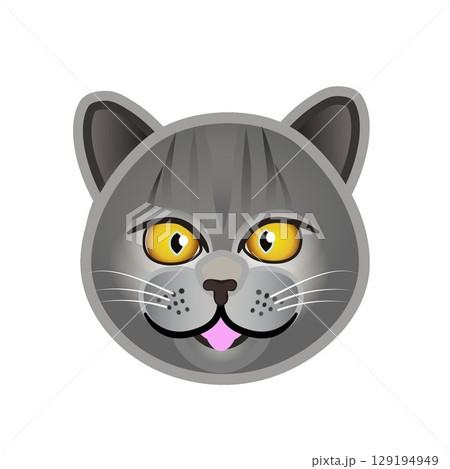 ブリティッシュショートヘアーの顔のイラスト 129194949