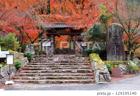兵庫県高源寺の紅葉 兵庫県高源寺の紅葉 129195140