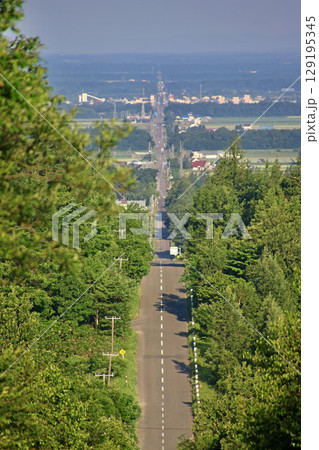 天に続く道(北海道・斜里町) 天に続く道(北海道・斜里町) 129195345