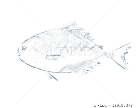 イボダイのシンプルな線画イラスト イボダイのシンプルな線画イラスト 129195372