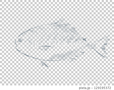 イボダイのシンプルな線画イラスト イボダイのシンプルな線画イラスト 129195372