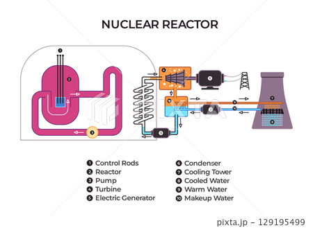 labeled diagram illustrating the components and operational flow of a pressurized water nuclear power reactor from the core to the cooling tower for energy generation 129195499