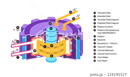 Tokamak thermonuclear fusion reactor including toroidal and poloidal fields plasma magnets and fuel showcasing the process of controlled thermonuclear fusion labeled illustration 129195527