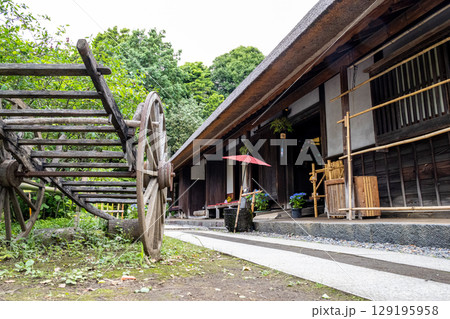《あしがり郷 瀬戸屋敷》屋敷と和傘のある風景（神奈川県足柄上郡開成町） 129195958