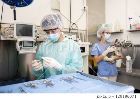 Guy veterinarian in full protective gear arranges instrument on desktop, prepares to treat patients Guy veterinarian in full protective gear arranges instrument on desktop, prepares to treat patients 129196071