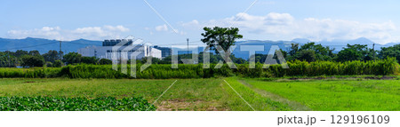 半導体関連企業周辺パノラマ風景 TSMC・ソニーセミコン・東京エレクトロンなど(熊本県菊池郡菊陽町) 半導体関連企業周辺パノラマ風景 TSMC・ソニーセミコン・東京エレクトロンなど(熊本県菊池郡菊陽町) 129196109