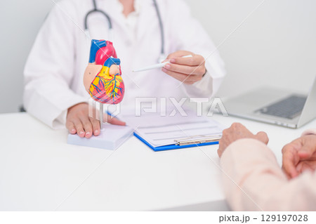 Doctor with Heart anatomy model. Elderly Patient consultation medical health for Cardiovascular Diseases, Atherosclerosis, Hypertensive, Heart attack, heart failure and world Heart day concept 129197028