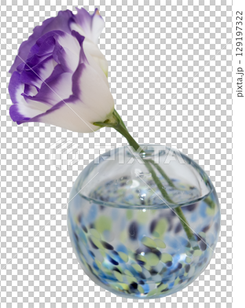 A single purple-edged lisianthus in a cool-toned vase, facing left 129197322