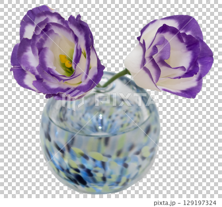 寒色一輪挿しに挿した紫の縁のトルコキキョウ二輪 129197324