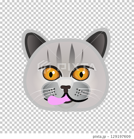 英國短毛貓臉部插圖 129197609