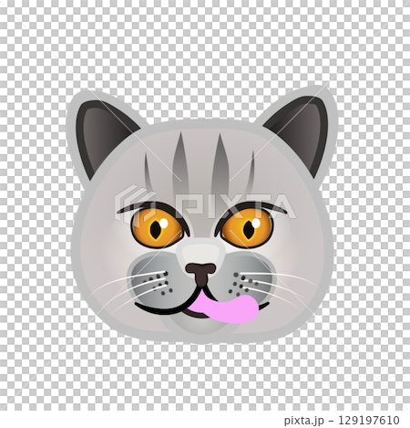 英國短毛貓臉部插圖 英國短毛貓臉部插圖 129197610