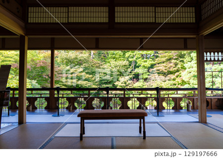 新潟県新潟市　お庭も建物も美しい旧齋藤氏別邸庭園 129197666
