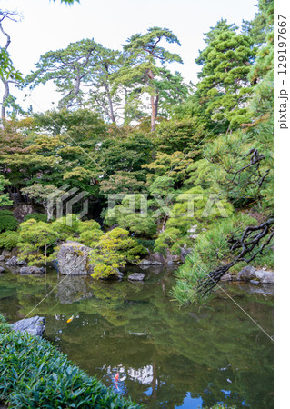 新潟県新潟市　お庭も建物も美しい旧齋藤氏別邸庭園 129197667