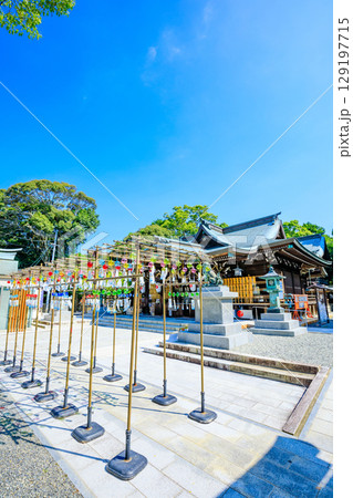 夏の琴崎八幡宮　風鈴祭り　山口県宇部市 129197715