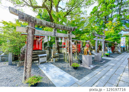 夏の琴崎八幡宮 山口県宇部市 夏の琴崎八幡宮 山口県宇部市 129197716