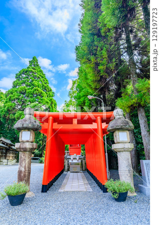 夏の琴崎八幡宮 山口県宇部市 夏の琴崎八幡宮 山口県宇部市 129197723