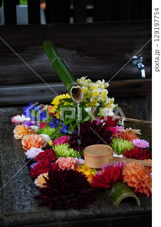 東福寺塔頭勝林寺の花手水 東福寺塔頭勝林寺の花手水 129197754