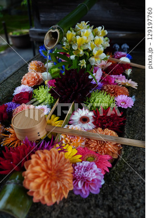 東福寺塔頭勝林寺の花手水 東福寺塔頭勝林寺の花手水 129197760