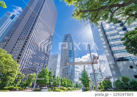 「東京都」緑に囲まれた西新宿ビル群の風景　新宿区 129197805