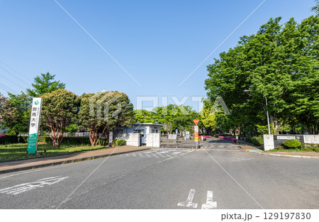 群馬県前橋市 国立学校法人群馬大学(荒牧キャンパス) 群馬県前橋市 国立学校法人群馬大学(荒牧キャンパス) 129197830