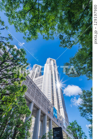 「東京都」緑に囲まれた東京都庁　新宿区 129197980