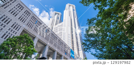 「東京都」緑に囲まれた東京都庁 新宿区 「東京都」緑に囲まれた東京都庁 新宿区 129197982