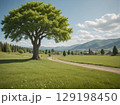 風景, 自然, 田舎, 田舎の, 景色, 畑, 運動場, 野原, 農場, カントリーサイド, 地方, 129198450