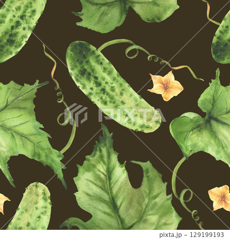 Cucumbers watercolor seamless pattern with yellow flowers, plant tendril, buds and leaves. Hand drawn watercolor illustration for farm vegetable packaging, fabric design. on Isolated dark background Cucumbers watercolor seamless pattern with yellow flowers, plant tendril, buds and leaves. Hand drawn watercolor illustration for farm vegetable packaging, fabric design. on Isolated dark background 129199193