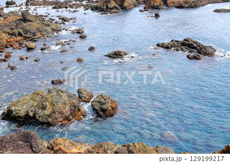 伊豆半島　爪木崎 129199217
