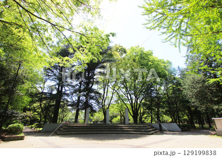 砧公園の新緑 砧公園の新緑 129199838