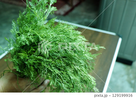 Fresh Dill Leaves (Suva Bhaji) on the wooden table 129199916