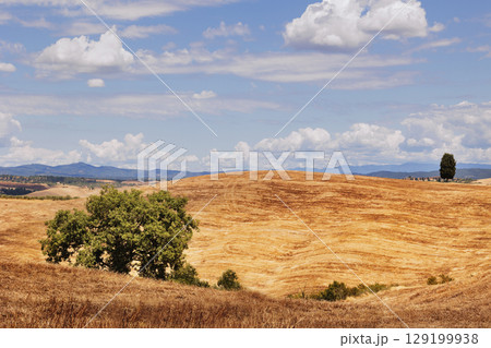 Panoramic  view in Asciano hills , Italy 129199938
