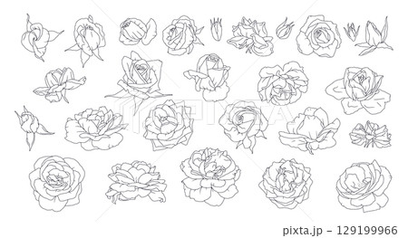 Hand drawn black and white line art rose flowers set isolated clip art 129199966