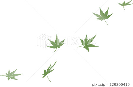 舞い落ちる水彩の緑のもみじの葉｜もみじ,新緑,青もみじ,水彩,春,初夏 129200419