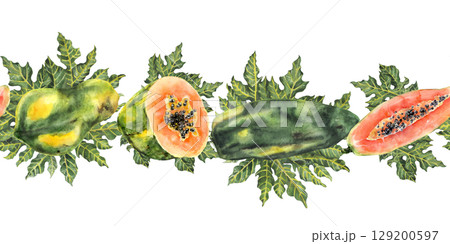 Seamless tropical papaya border with green leaves in watercolor style Seamless tropical papaya border with green leaves in watercolor style 129200597